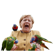 :Merkel_parrot2: